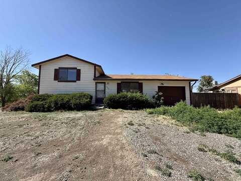 3207 Mesa Avenue, Clifton, CO 81520