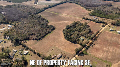 Sand Basin Road, Sneads, FL 32460