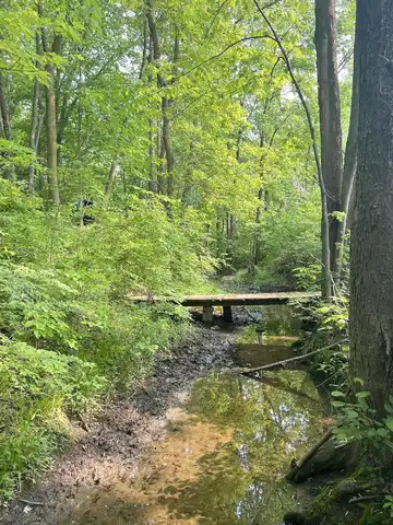 Hack Road, Saline, MI 49229