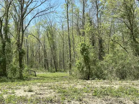 Clay Camp Road, Hitchins, KY 41146