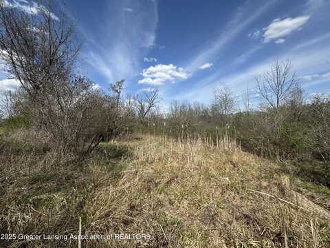 0 S Bradley Road, Charlotte, MI 48813
