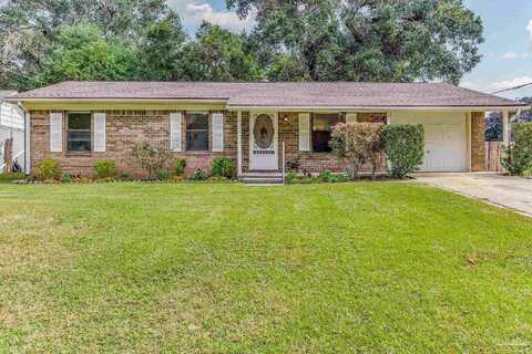 Blue Jay, PENSACOLA, FL 32534
