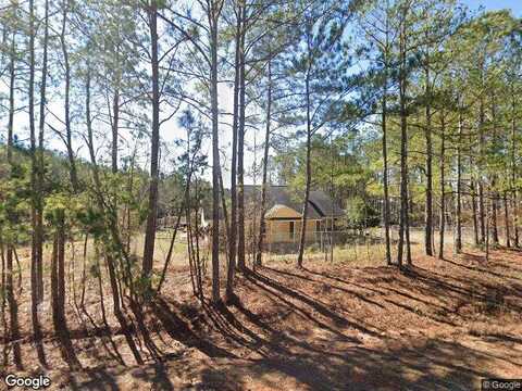 Liberty Hill, CUSSETA, GA 31805