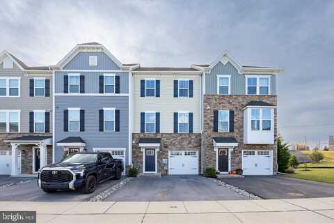 Glory Maple, DOWNINGTOWN, PA 19335