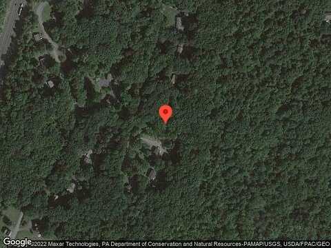 Fern, STROUDSBURG, PA 18360