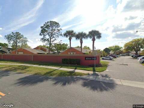 Silver Falls, KISSIMMEE, FL 34743