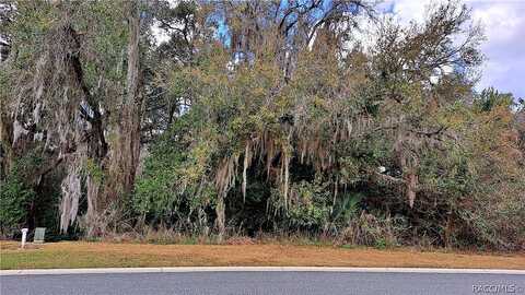 N Heritage Oaks Path, Hernando, FL 34442