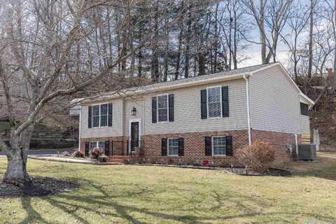 Larch, BUENA VISTA, VA 24416