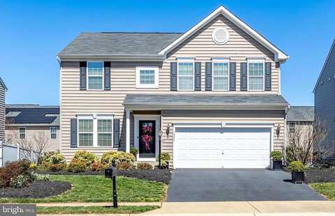 Salt Cedar, CULPEPER, VA 22701