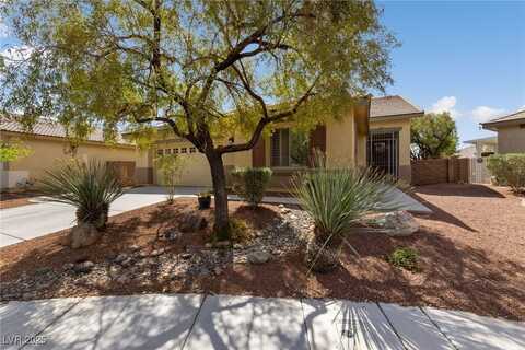 4217 Box Canyon Falls Avenue, North Las Vegas, NV 89085
