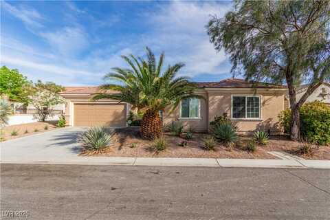 2489 Black River Falls Drive, Henderson, NV 89044
