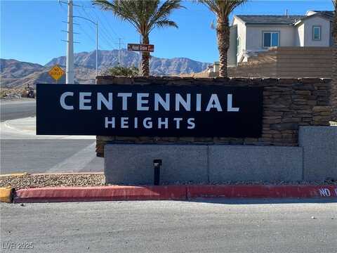 10713 Norfolk View Court, Las Vegas, NV 89166