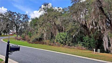 N Heritage Oaks Path, Hernando, FL 34442