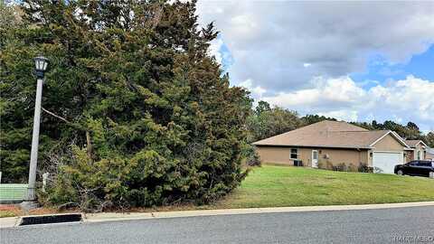 N Heritage Oaks Path, Hernando, FL 34442