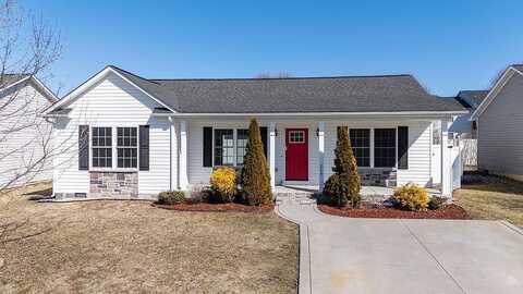 Dylan, BRIDGEWATER, VA 22812
