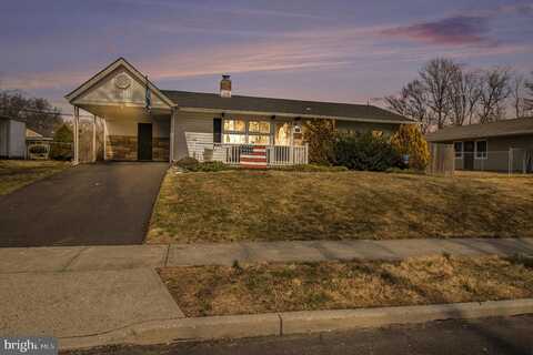 Timber, LEVITTOWN, PA 19054