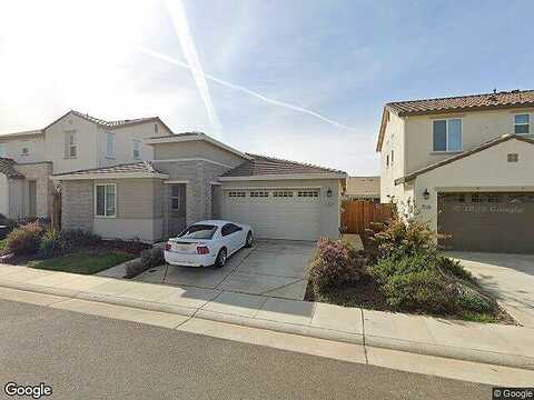 Cordyline, RANCHO CORDOVA, CA 95742