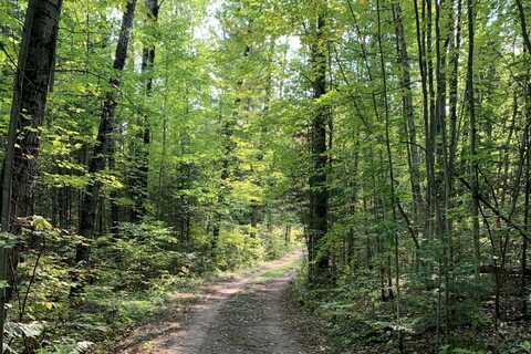 1899 AMIK LAKE LN, Lac du Flambeau, WI 54538