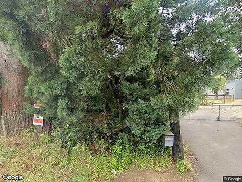 Tong, DAMASCUS, OR 97089