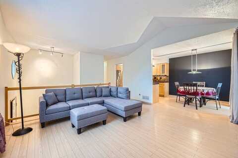 Orchid, MINNEAPOLIS, MN 55446