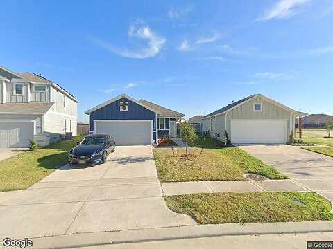 Planted Orchard, HOCKLEY, TX 77447
