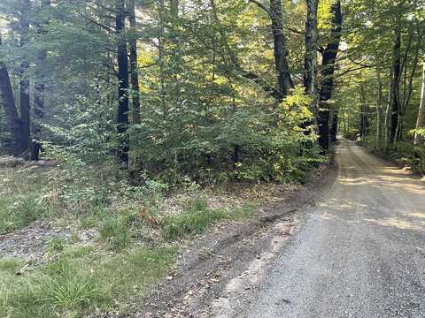 10445 W Woodrow Road, Shelby, MI 49455