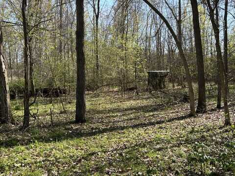 9151 Fowle Rd., Jonesville, MI 49250