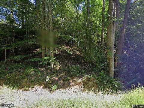 Holly, DAHLONEGA, GA 30533