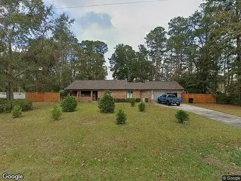 Topi, HINESVILLE, GA 31313