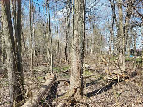V/L Burton Drive, Allegan, MI 49010