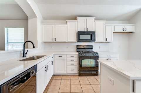 Condor, LITTLE ELM, TX 75068