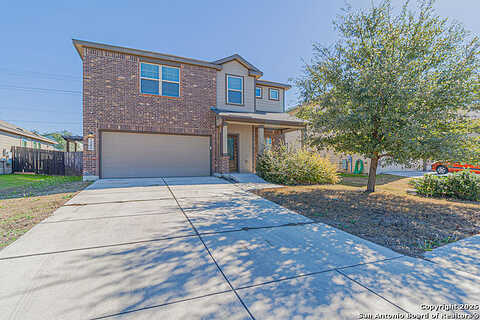 Hibiscus, SAN ANTONIO, TX 78218