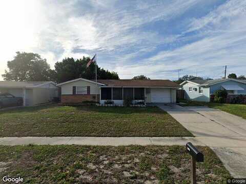 Dander, HOLIDAY, FL 34690