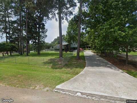 Lochness, WILLIS, TX 77318