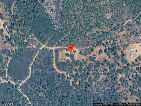 Red Tail Hawk, NEVADA CITY, CA 95959