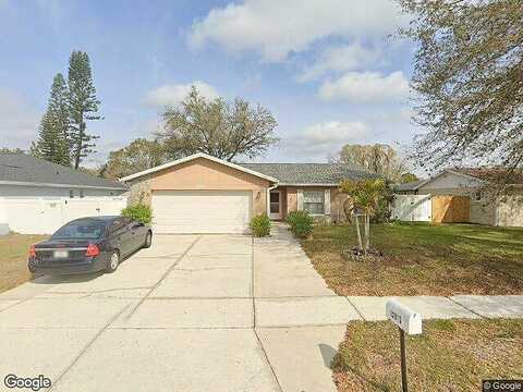 Tallowood, RIVERVIEW, FL 33579