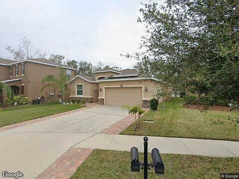 Scenic Hollow, RIVERVIEW, FL 33578