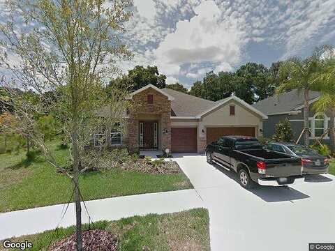 Tracey Ann, SEFFNER, FL 33584