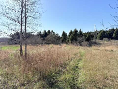 V/L Big Stone Lake Road, Evart, MI 49631
