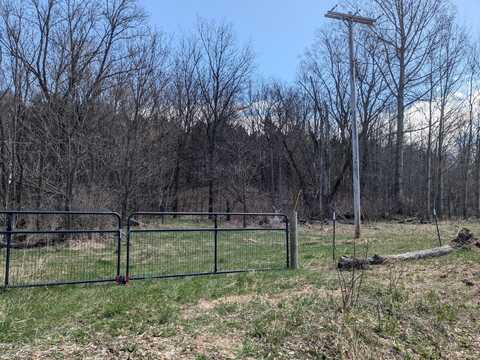 V/L Butwell 1 Road, Bear Lake, MI 49614