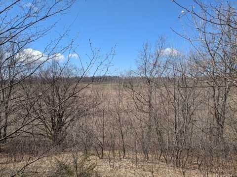 Butwell part 2 Road, Bear Lake, MI 49614