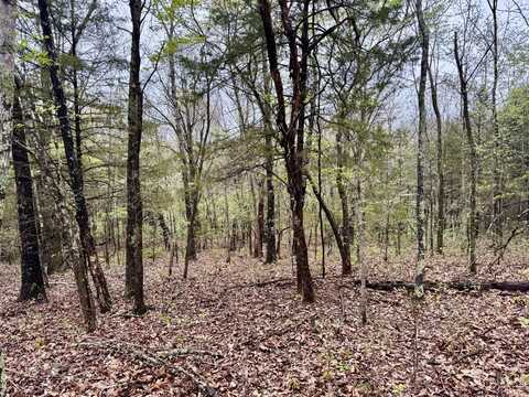 Tbd State Highway U, Mansfield, MO 65704