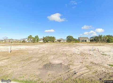 Willow Bluestar, RIVERVIEW, FL 33579