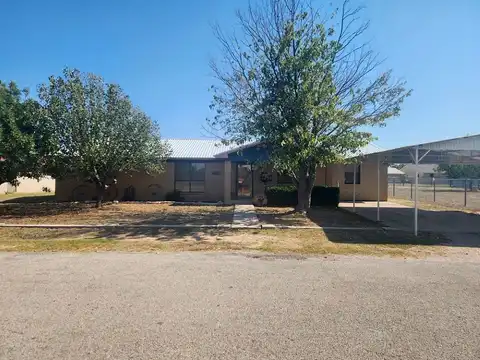 Trent, GOLDTHWAITE, TX 76844