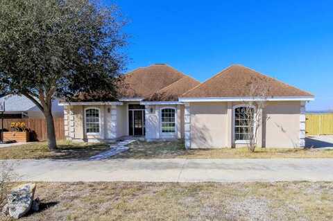 Lakeview, THREE RIVERS, TX 78071