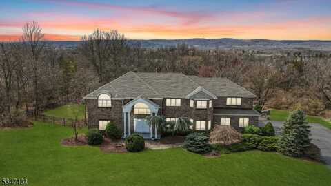 14 Blue Cliff Dr, Clinton, NJ 08833