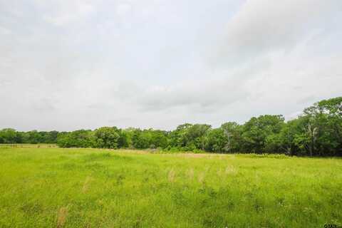 TBD VZ CR 2150, Wills Point, TX 75169