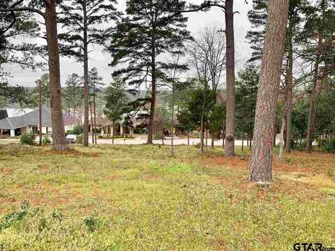 425 Hideaway Lane Central, Hideaway, TX 75771