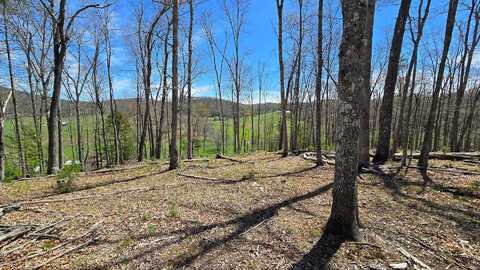 9021 Browns Creek Rd, Dunmore, WV 24934