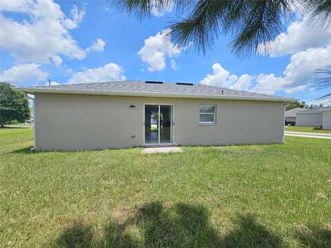Parakeet, KISSIMMEE, FL 34759